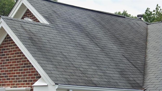 Roof before — streaking and algae damage